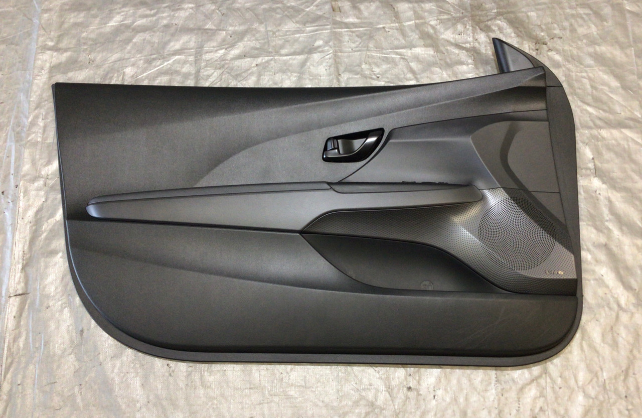 2019-2020 Hyundai Veloster N Driver Side Interior Door Panel / HV005